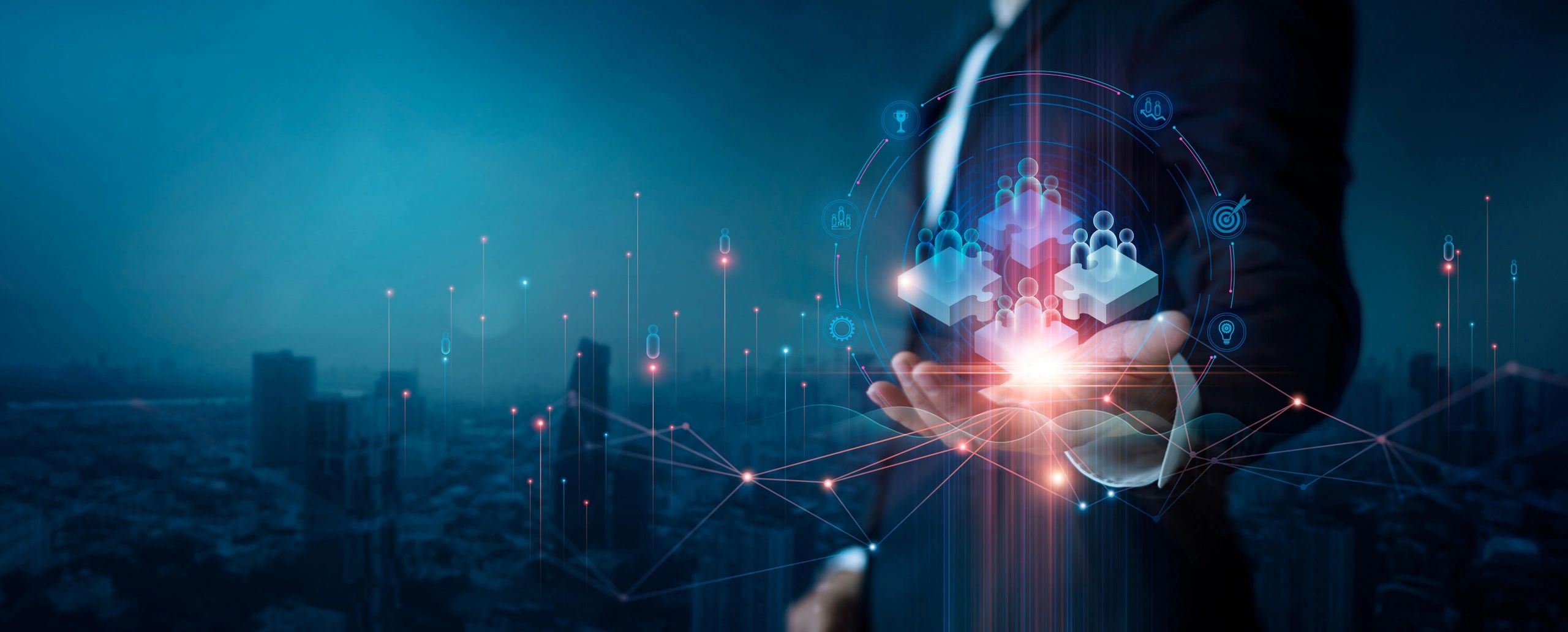 Digital Support Solutions